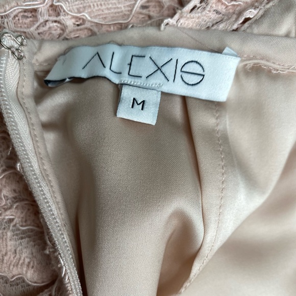 Alexis Blush Pink Ardella Lace Midi Dress M - Picture 6 of 7